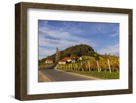 Europe, Austria, Styria, South-Styrian Wine Route, Vineyards-Gerhard Wild-Framed Photographic Print