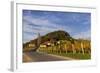 Europe, Austria, Styria, South-Styrian Wine Route, Vineyards-Gerhard Wild-Framed Photographic Print