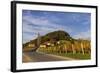 Europe, Austria, Styria, South-Styrian Wine Route, Vineyards-Gerhard Wild-Framed Photographic Print