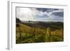 Europe, Austria, Styria, South-Styrian Wine Route, Vineyards-Gerhard Wild-Framed Photographic Print