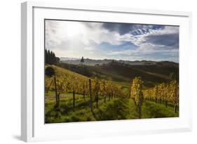 Europe, Austria, Styria, South-Styrian Wine Route, Vineyards-Gerhard Wild-Framed Photographic Print