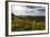 Europe, Austria, Styria, South-Styrian Wine Route, Vineyards-Gerhard Wild-Framed Photographic Print