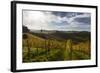 Europe, Austria, Styria, South-Styrian Wine Route, Vineyards-Gerhard Wild-Framed Photographic Print