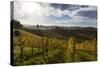 Europe, Austria, Styria, South-Styrian Wine Route, Vineyards-Gerhard Wild-Stretched Canvas