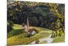 Europe, Austria, Styria, South-Styrian Wine Route, Wine Farm-Gerhard Wild-Mounted Photographic Print