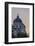 Europe, Austria, Vienna, Kunsthistorisches Museum-Gerhard Wild-Framed Photographic Print