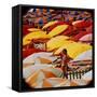 Europe Beach Scene Crowded with Colorful Umbrellas and a Bikini-Clad Young Woman-Ralph Crane-Framed Stretched Canvas