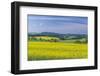 Europe, Czech Republic, Bohemia, Canola Field-Rob Tilley-Framed Photographic Print