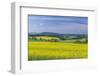 Europe, Czech Republic, Bohemia, Canola Field-Rob Tilley-Framed Photographic Print