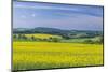 Europe, Czech Republic, Bohemia, Canola Field-Rob Tilley-Mounted Photographic Print