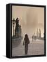 Europe, Czech Republic, Central Bohemia Region, Prague, Charles Bridge-Francesco Iacobelli-Framed Stretched Canvas