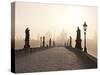 Europe, Czech Republic, Central Bohemia Region, Prague, Charles Bridge-Francesco Iacobelli-Stretched Canvas