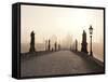 Europe, Czech Republic, Central Bohemia Region, Prague, Charles Bridge-Francesco Iacobelli-Framed Stretched Canvas