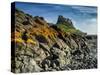 Europe, England, Northumberland, Holy Island, Lindisfarne Castle-Mark Sykes-Stretched Canvas