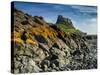 Europe, England, Northumberland, Holy Island, Lindisfarne Castle-Mark Sykes-Stretched Canvas