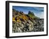 Europe, England, Northumberland, Holy Island, Lindisfarne Castle-Mark Sykes-Framed Photographic Print