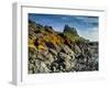 Europe, England, Northumberland, Holy Island, Lindisfarne Castle-Mark Sykes-Framed Photographic Print