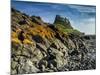 Europe, England, Northumberland, Holy Island, Lindisfarne Castle-Mark Sykes-Mounted Photographic Print