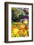 Europe, France. Gerber daisy.-Lisa S. Engelbrecht-Framed Photographic Print