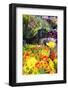 Europe, France. Gerber daisy.-Lisa S. Engelbrecht-Framed Photographic Print