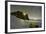 Europe, France, Haute Savoie, Rhone Alps, Chamonix-Christian Kober-Framed Photographic Print