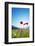 Europe, France, Haute Savoie, Rhone Alps, Poppy Field-Christian Kober-Framed Photographic Print