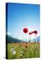 Europe, France, Haute Savoie, Rhone Alps, Poppy Field-Christian Kober-Stretched Canvas