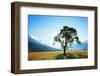 Europe, France, Haute Savoie, Rhone Alps, Poppy Field-Christian Kober-Framed Photographic Print