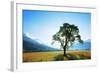 Europe, France, Haute Savoie, Rhone Alps, Poppy Field-Christian Kober-Framed Photographic Print