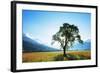 Europe, France, Haute Savoie, Rhone Alps, Poppy Field-Christian Kober-Framed Photographic Print