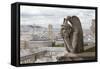 Europe, France, Paris. a Gargoyle on the Notre Dame Cathedral-Charles Sleicher-Framed Stretched Canvas