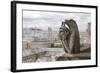 Europe, France, Paris. a Gargoyle on the Notre Dame Cathedral-Charles Sleicher-Framed Photographic Print