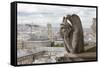 Europe, France, Paris. a Gargoyle on the Notre Dame Cathedral-Charles Sleicher-Framed Stretched Canvas