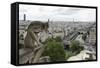 Europe, France, Paris. a Gargoyle on the Notre Dame Cathedral-Charles Sleicher-Framed Stretched Canvas