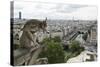 Europe, France, Paris. a Gargoyle on the Notre Dame Cathedral-Charles Sleicher-Stretched Canvas