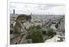 Europe, France, Paris. a Gargoyle on the Notre Dame Cathedral-Charles Sleicher-Framed Photographic Print