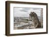 Europe, France, Paris. A gargoyle on the Notre Dame Cathedral.-Charles Sleicher-Framed Photographic Print