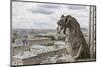 Europe, France, Paris. A gargoyle on the Notre Dame Cathedral.-Charles Sleicher-Mounted Photographic Print