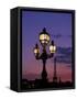 Europe, France, Paris. Eiffel Tower and light post, (Med. Format)-David Barnes-Framed Stretched Canvas