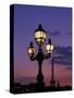 Europe, France, Paris. Eiffel Tower and light post, (Med. Format)-David Barnes-Stretched Canvas