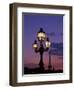 Europe, France, Paris. Eiffel Tower and light post, (Med. Format)-David Barnes-Framed Photographic Print