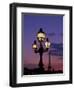 Europe, France, Paris. Eiffel Tower and light post, (Med. Format)-David Barnes-Framed Photographic Print
