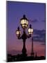 Europe, France, Paris. Eiffel Tower and light post, (Med. Format)-David Barnes-Mounted Photographic Print