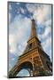 Europe, France, Paris, Eiffel Tower Area: Winter View of the Eiffel Tower-Walter Bibikow-Mounted Photographic Print