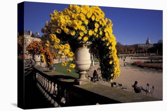 Europe, France, Paris. Jardin de Luxembourg-David Barnes-Stretched Canvas