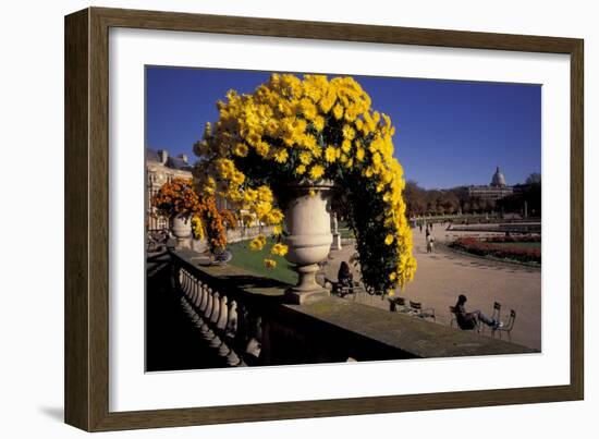 Europe, France, Paris. Jardin de Luxembourg-David Barnes-Framed Photographic Print