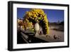 Europe, France, Paris. Jardin de Luxembourg-David Barnes-Framed Photographic Print