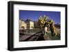 Europe, France, Paris, Luxembourg Garden-David Barnes-Framed Photographic Print