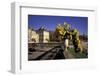 Europe, France, Paris, Luxembourg Garden-David Barnes-Framed Photographic Print