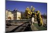 Europe, France, Paris, Luxembourg Garden-David Barnes-Mounted Photographic Print